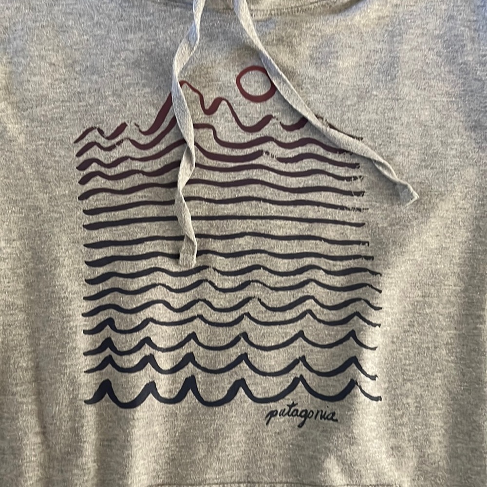 Patagonia sweatshirt